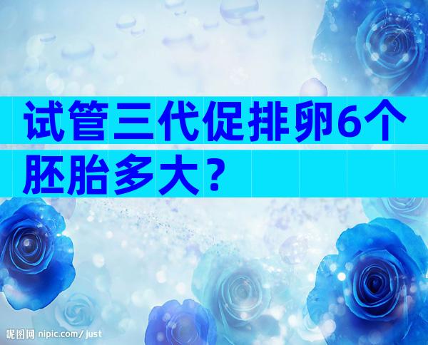 试管三代促排卵6个胚胎多大？
