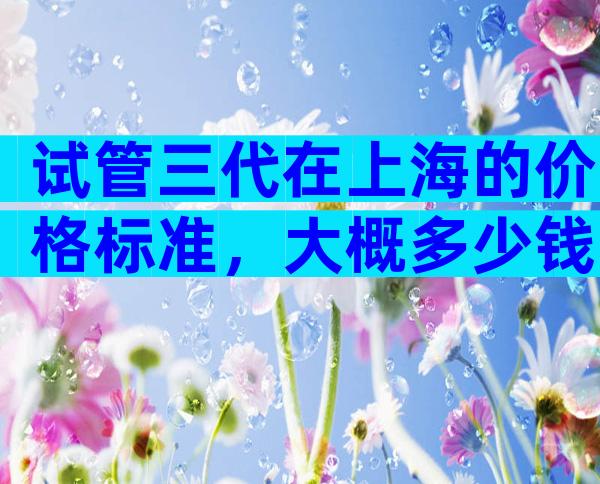 试管三代在上海的价格标准，大概多少钱？
