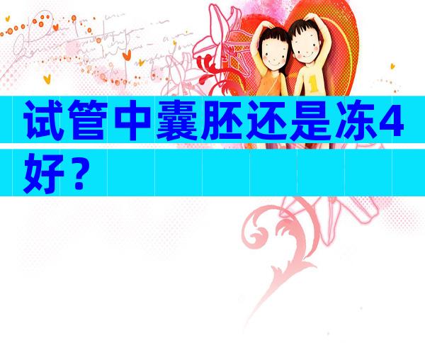 试管中囊胚还是冻4好？
