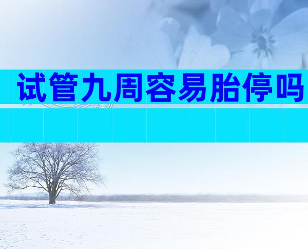 试管九周容易胎停吗