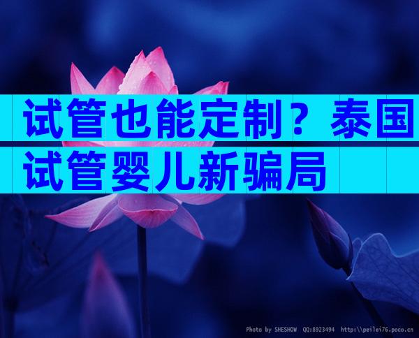 试管也能定制？泰国试管婴儿新骗局