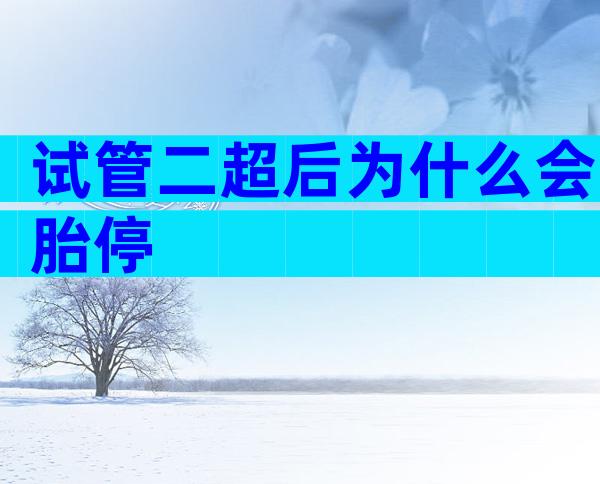 试管二超后为什么会胎停