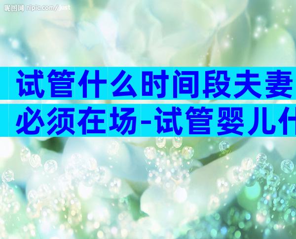 试管什么时间段夫妻必须在场-试管婴儿什么时间做