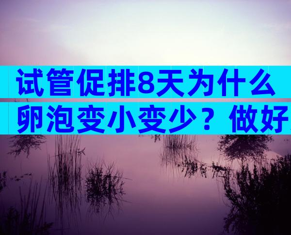 试管促排8天为什么卵泡变小变少？做好这些事可提高促排成功率