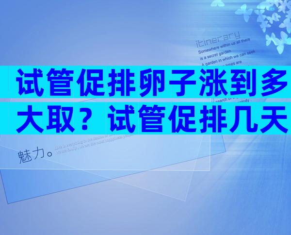 试管促排卵子涨到多大取？试管促排几天卵泡成熟？
