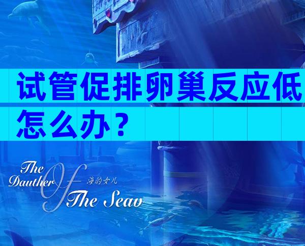 试管促排卵巢反应低怎么办？