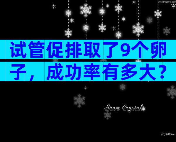 试管促排取了9个卵子，成功率有多大？