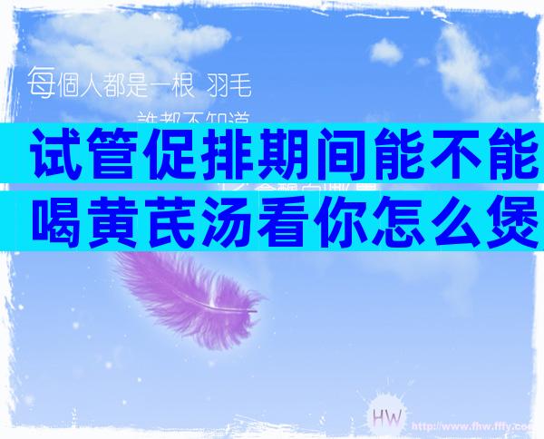 试管促排期间能不能喝黄芪汤看你怎么煲,当归、枸杞慎放