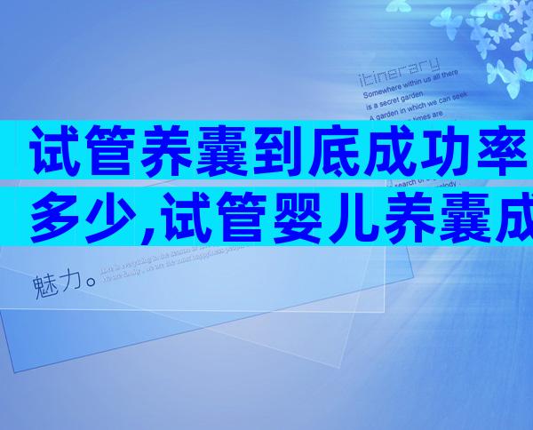 试管养囊到底成功率多少,试管婴儿养囊成功率高吗