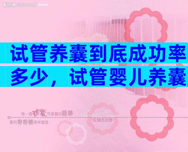 试管养囊到底成功率多少，试管婴儿养囊成功率高吗