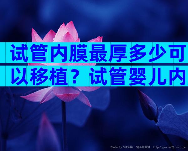 试管内膜最厚多少可以移植？试管婴儿内膜多厚可以移植？