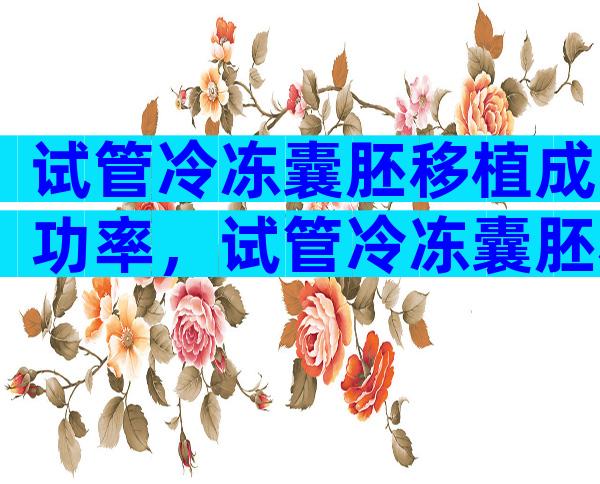 试管冷冻囊胚移植成功率，试管冷冻囊胚移植成功率多少？