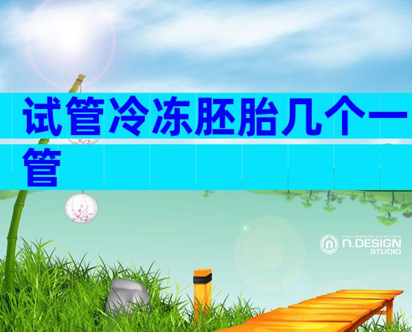 试管冷冻胚胎几个一管