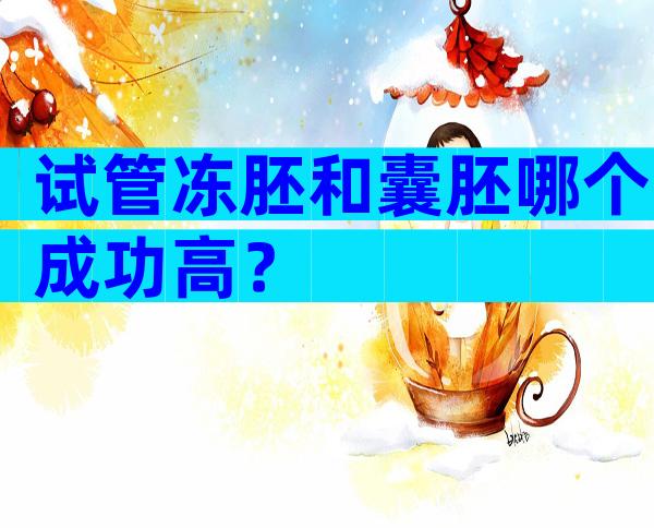 试管冻胚和囊胚哪个成功高？