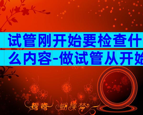 试管刚开始要检查什么内容-做试管从开始检查到怀孕大约多少时间
