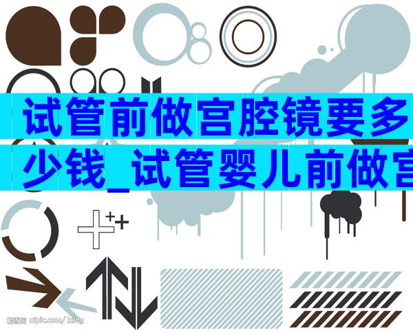 试管前做宫腔镜要多少钱_试管婴儿前做宫腔镜检查多少钱