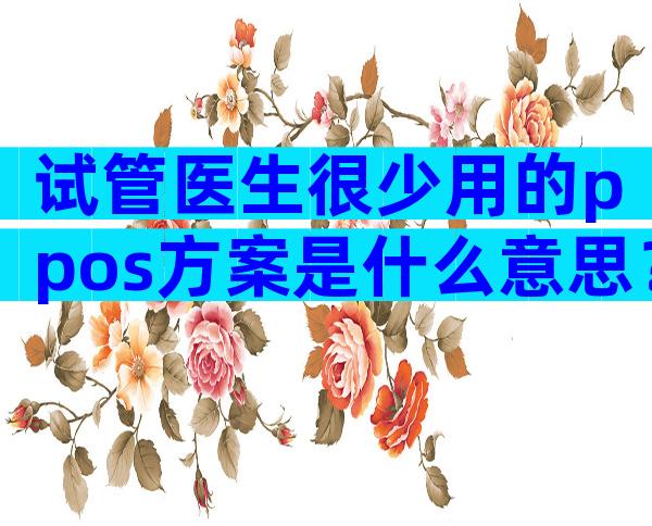 试管医生很少用的ppos方案是什么意思？可以连续试管吗？
