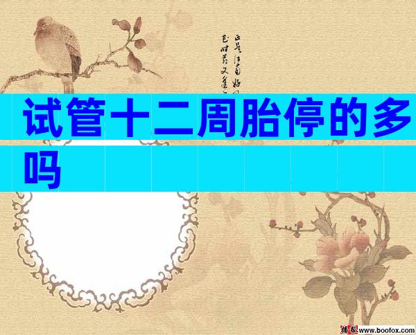 试管十二周胎停的多吗