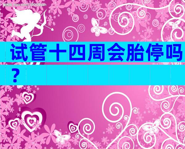 试管十四周会胎停吗？