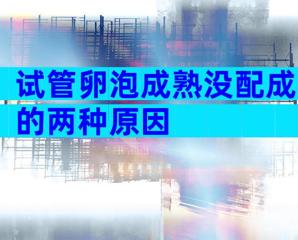 试管卵泡成熟没配成的两种原因