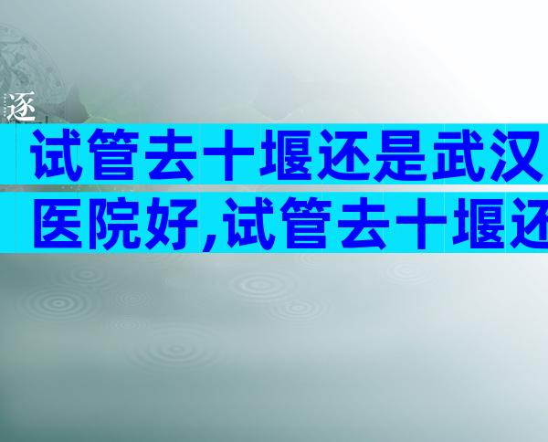 试管去十堰还是武汉医院好,试管去十堰还是武汉医院好些