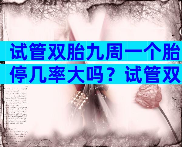 试管双胎九周一个胎停几率大吗？试管双胎九周一个胎停几率大吗？