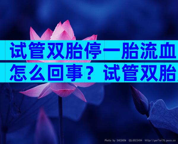 试管双胎停一胎流血怎么回事？试管双胎胎停一个