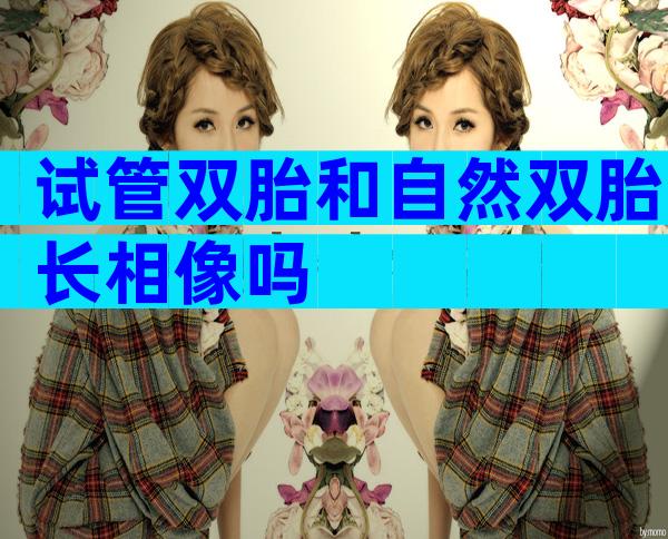 试管双胎和自然双胎长相像吗