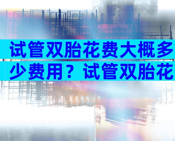 试管双胎花费大概多少费用？试管双胎花费大概多少费用报销？