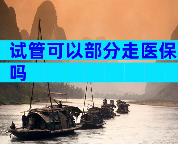 试管可以部分走医保吗