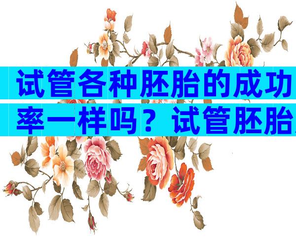 试管各种胚胎的成功率一样吗？试管胚胎质量好成功率大概多少？