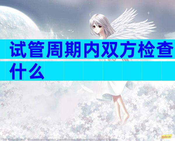 试管周期内双方检查什么