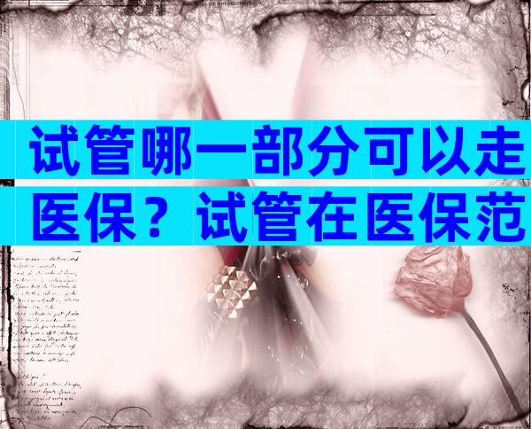 试管哪一部分可以走医保？试管在医保范围内吗？
