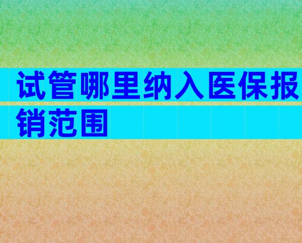 试管哪里纳入医保报销范围