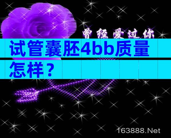 试管囊胚4bb质量怎样？