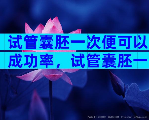 试管囊胚一次便可以成功率，试管囊胚一次便可以成功率高吗？