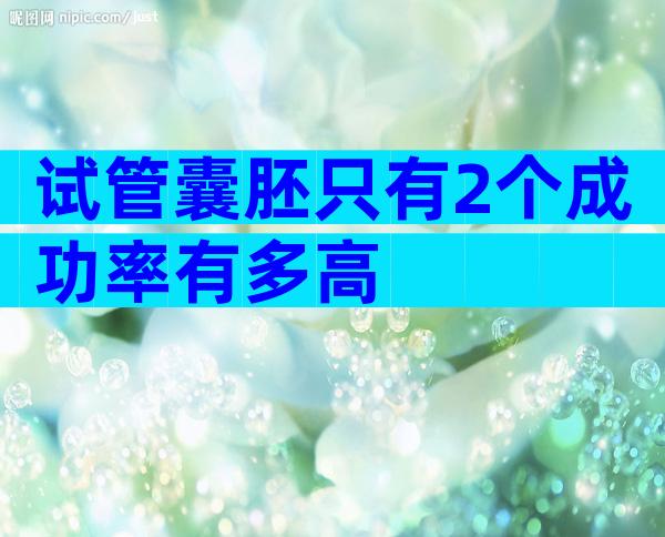 试管囊胚只有2个成功率有多高