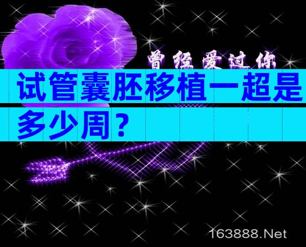 试管囊胚移植一超是多少周？