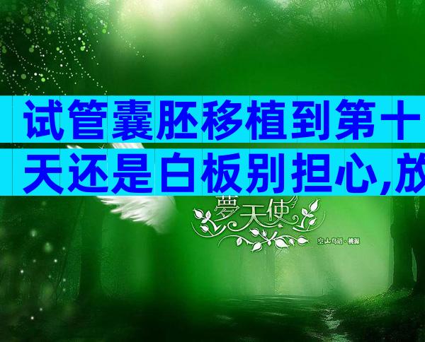 试管囊胚移植到第十天还是白板别担心,放松心态等逆袭吧!