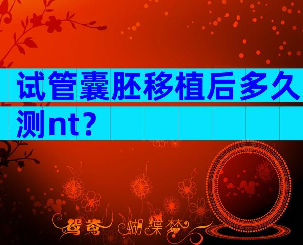 试管囊胚移植后多久测nt？