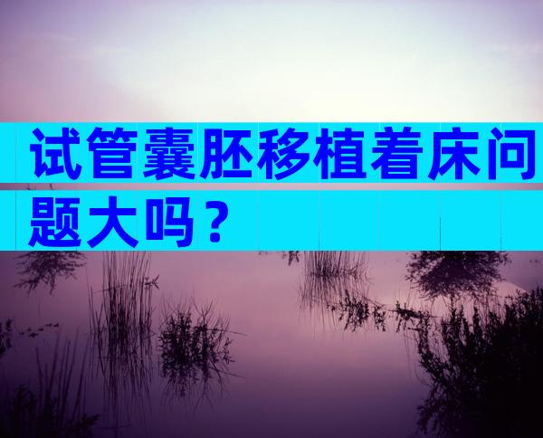 试管囊胚移植着床问题大吗？