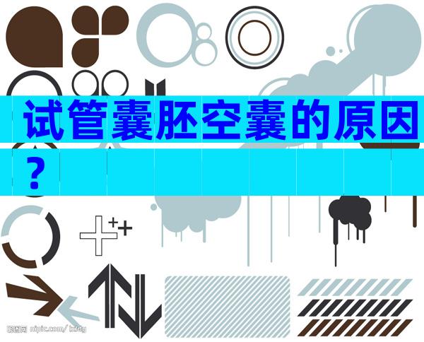 试管囊胚空囊的原因？