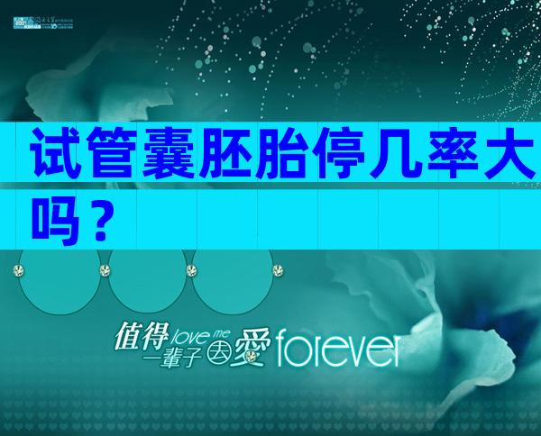 试管囊胚胎停几率大吗？