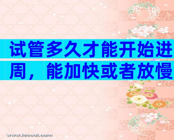 试管多久才能开始进周，能加快或者放慢这个速度吗？