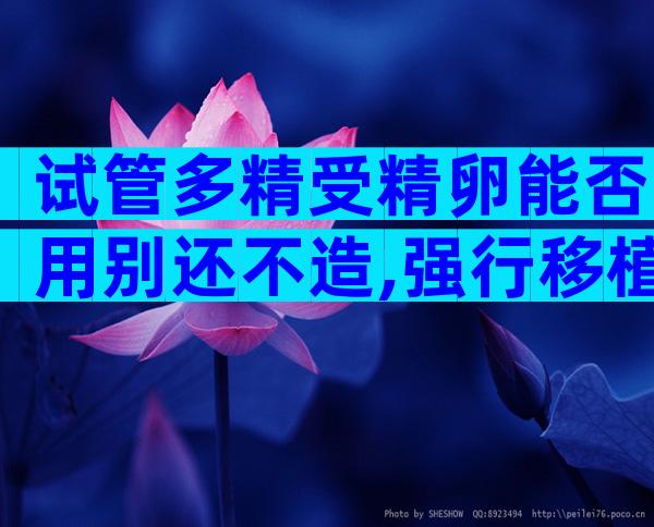 试管多精受精卵能否用别还不造,强行移植后果严重要注意