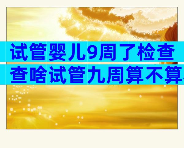 试管婴儿9周了检查查啥试管九周算不算稳定