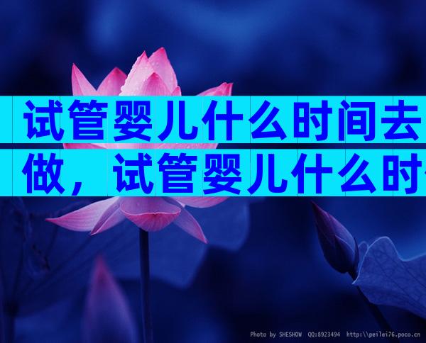 试管婴儿什么时间去做，试管婴儿什么时候去做