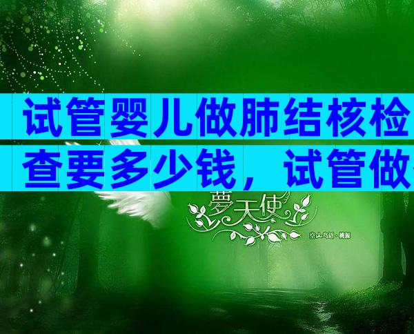 试管婴儿做肺结核检查要多少钱，试管做什么检查排除结核