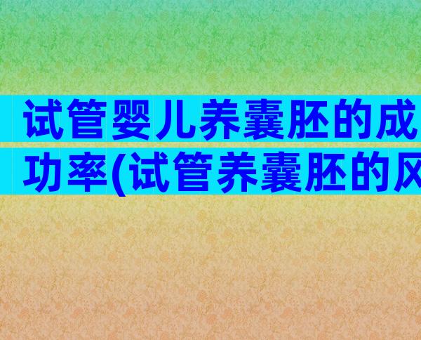 试管婴儿养囊胚的成功率(试管养囊胚的风险和优势)