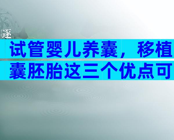 试管婴儿养囊，移植囊胚胎这三个优点可了解